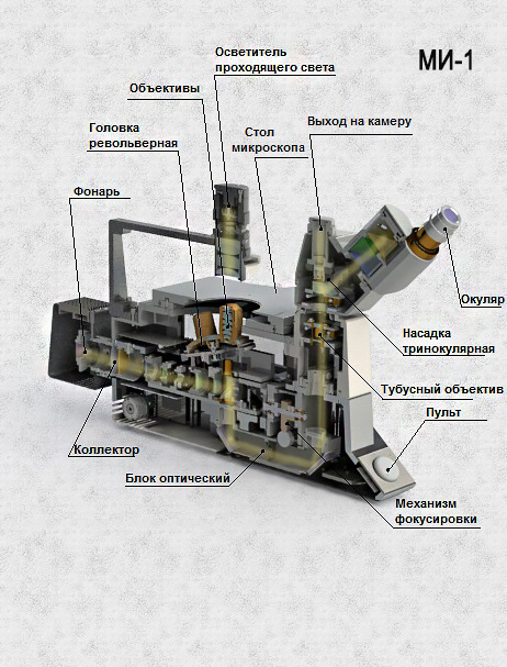 metoptical