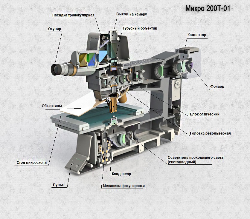 metoptical